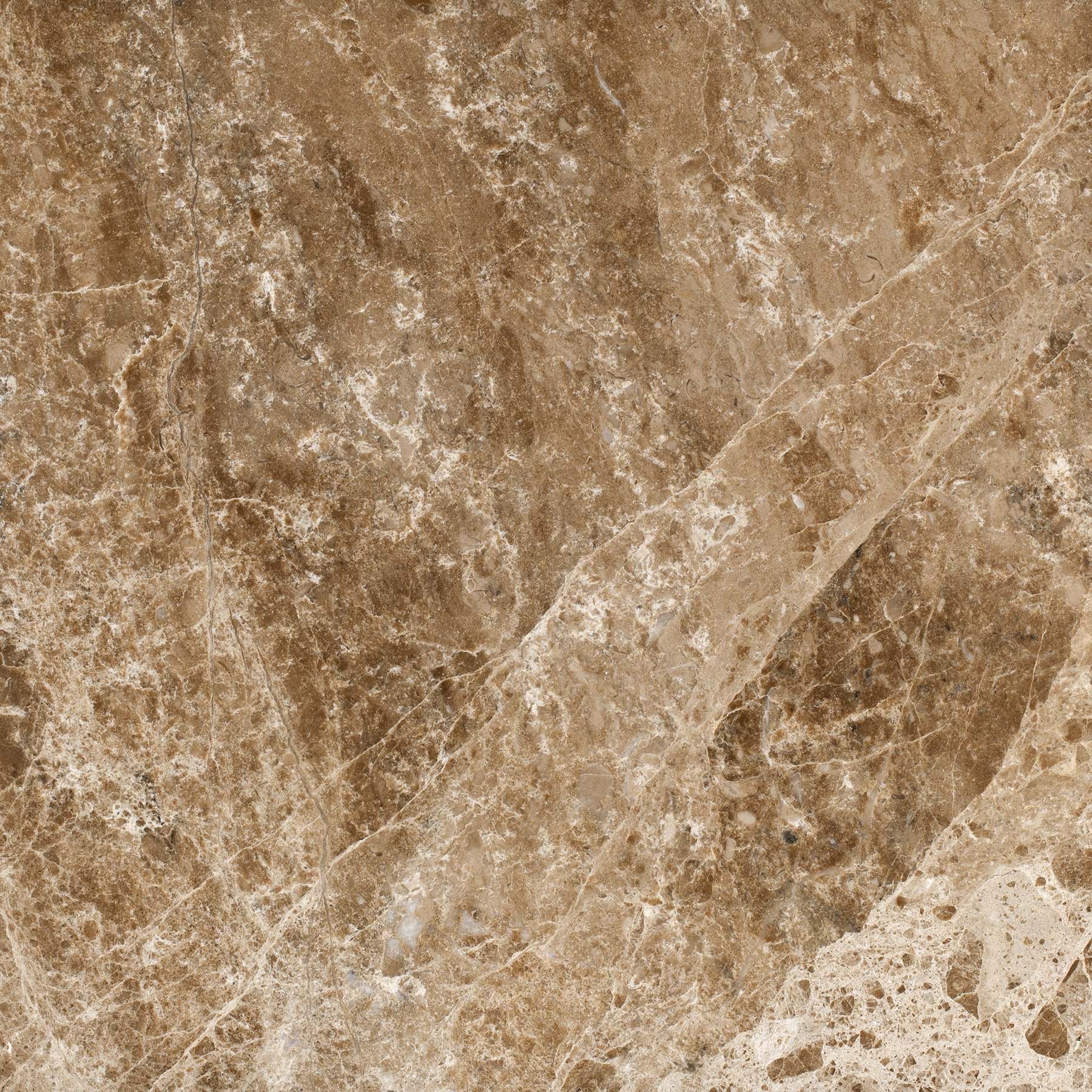 Light Emperador view 2